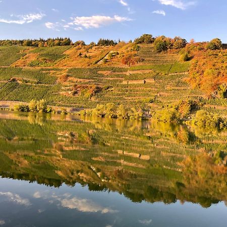 Neue Loft Im Alten Kelterhaus - Urlaub Im Wein- Und Ferienort Bekond Экстерьер фото