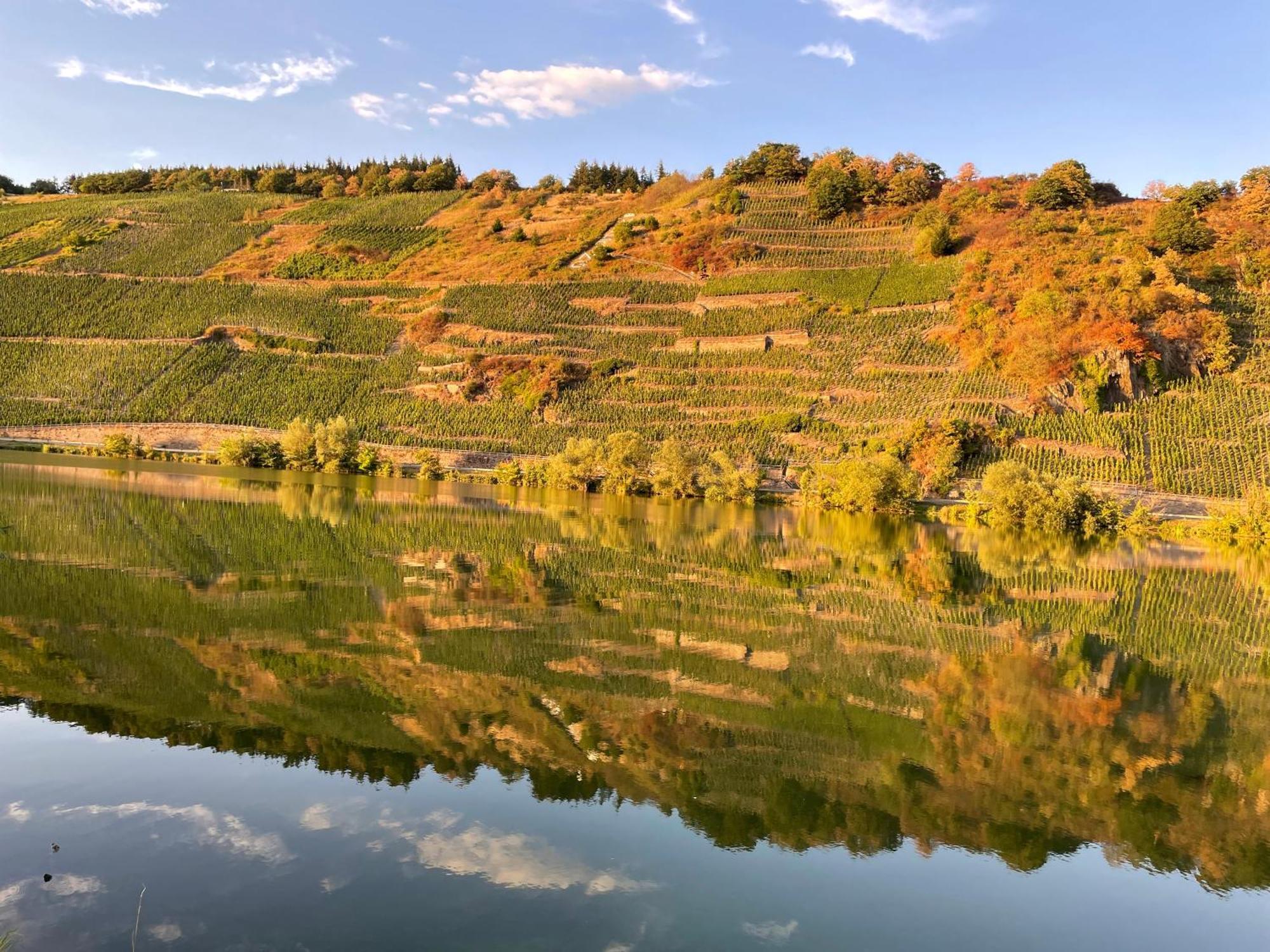 Neue Loft Im Alten Kelterhaus - Urlaub Im Wein- Und Ferienort Bekond Экстерьер фото