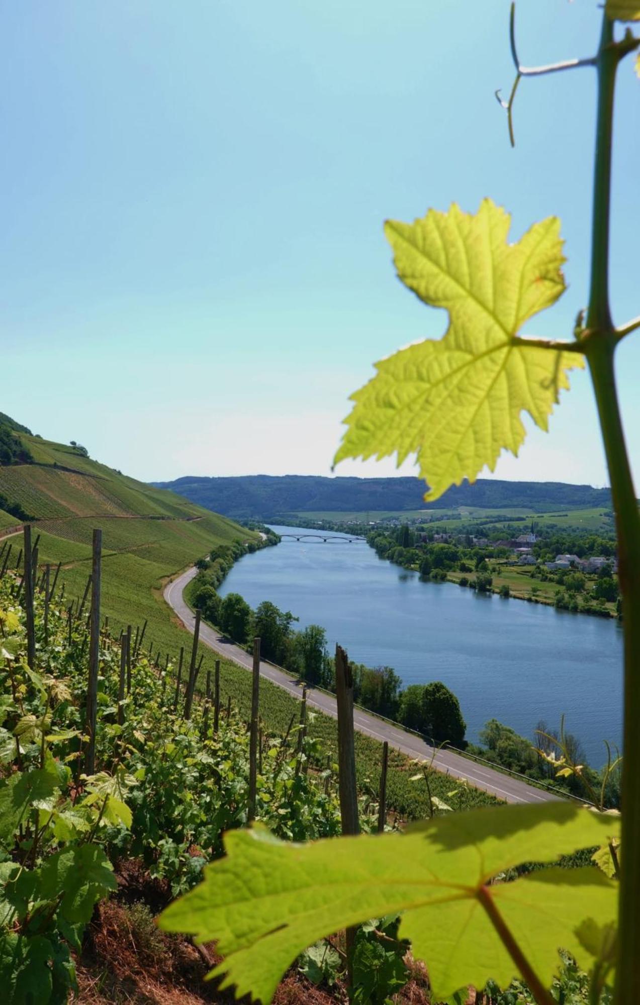 Neue Loft Im Alten Kelterhaus - Urlaub Im Wein- Und Ferienort Bekond Экстерьер фото